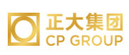 大通正大集团