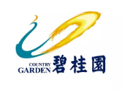 大通碧桂园地产